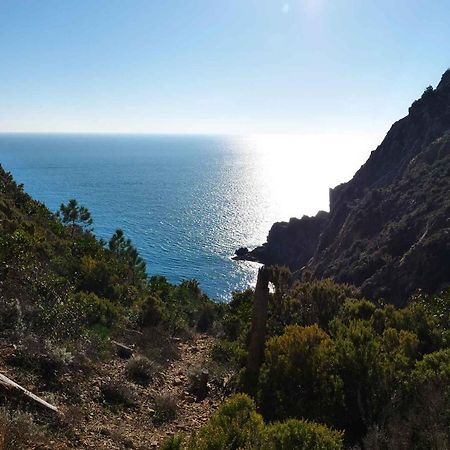 Il Cuore Di Moneglia - Moneglia Apartments Εξωτερικό φωτογραφία